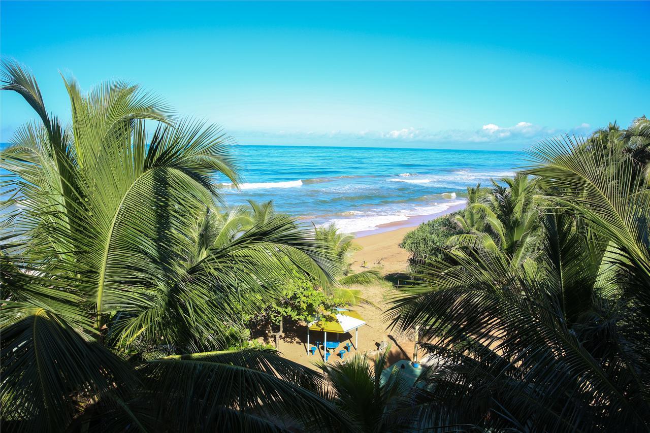 Oasey Ayurveda Hotel Bentota Exteriér fotografie