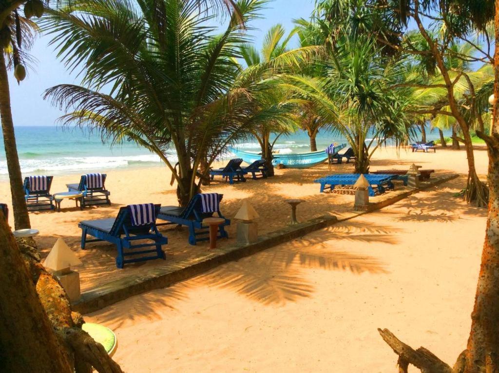 Oasey Ayurveda Hotel Bentota Exteriér fotografie